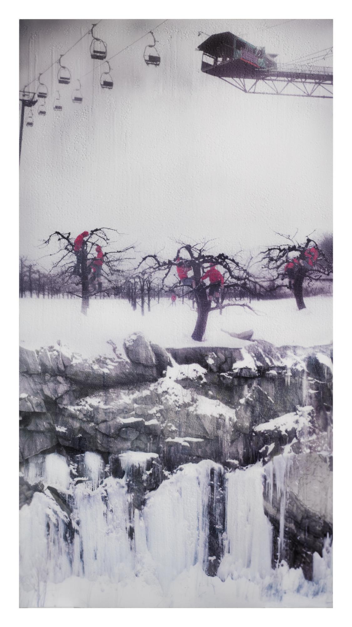 Anthony Goicolea - Orchard (from Sheltered)