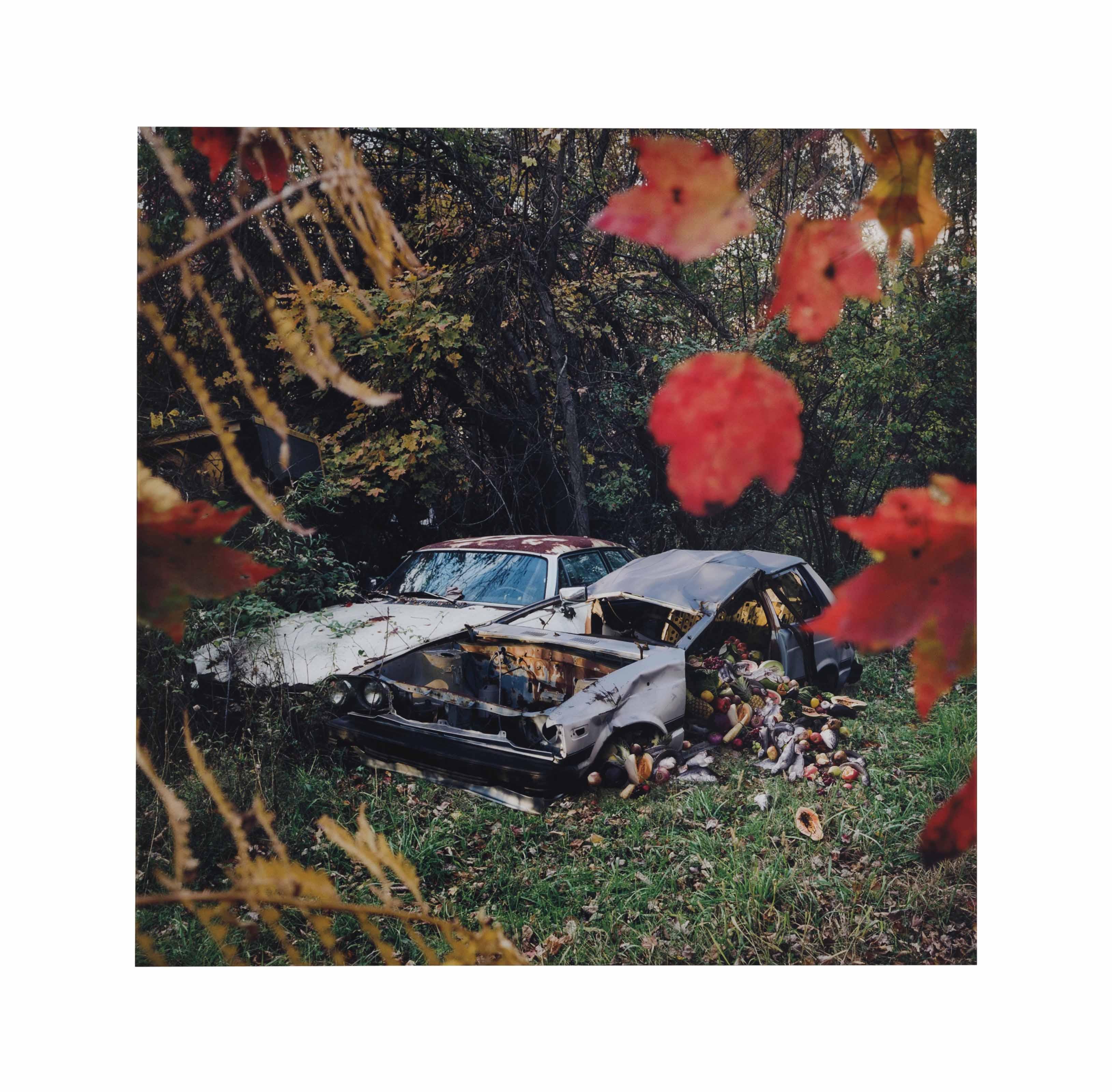 Anthony Goicolea - Siamese Twins, 2010