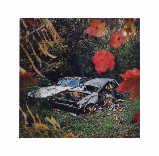 Anthony Goicolea - Siamese Twins, 2010