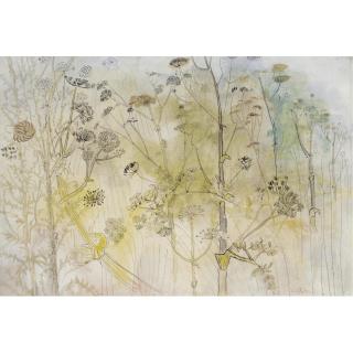 Anthony Gross - Herb Garden