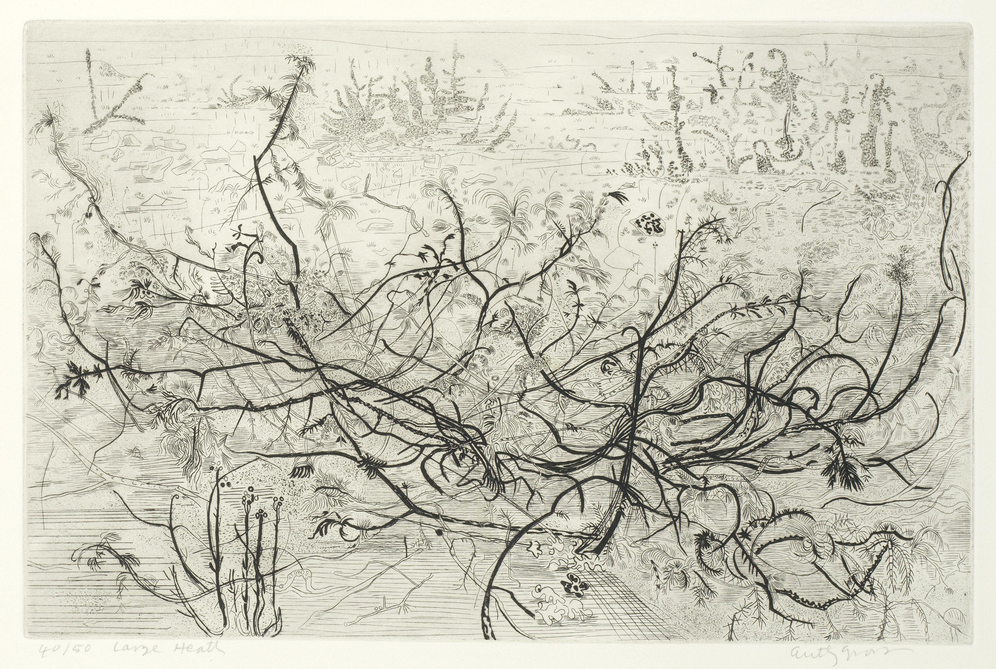 Anthony Gross - Large Heath; Backwater, River Lot