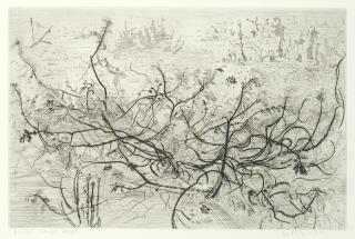 Anthony Gross - Large Heath; Backwater, River Lot