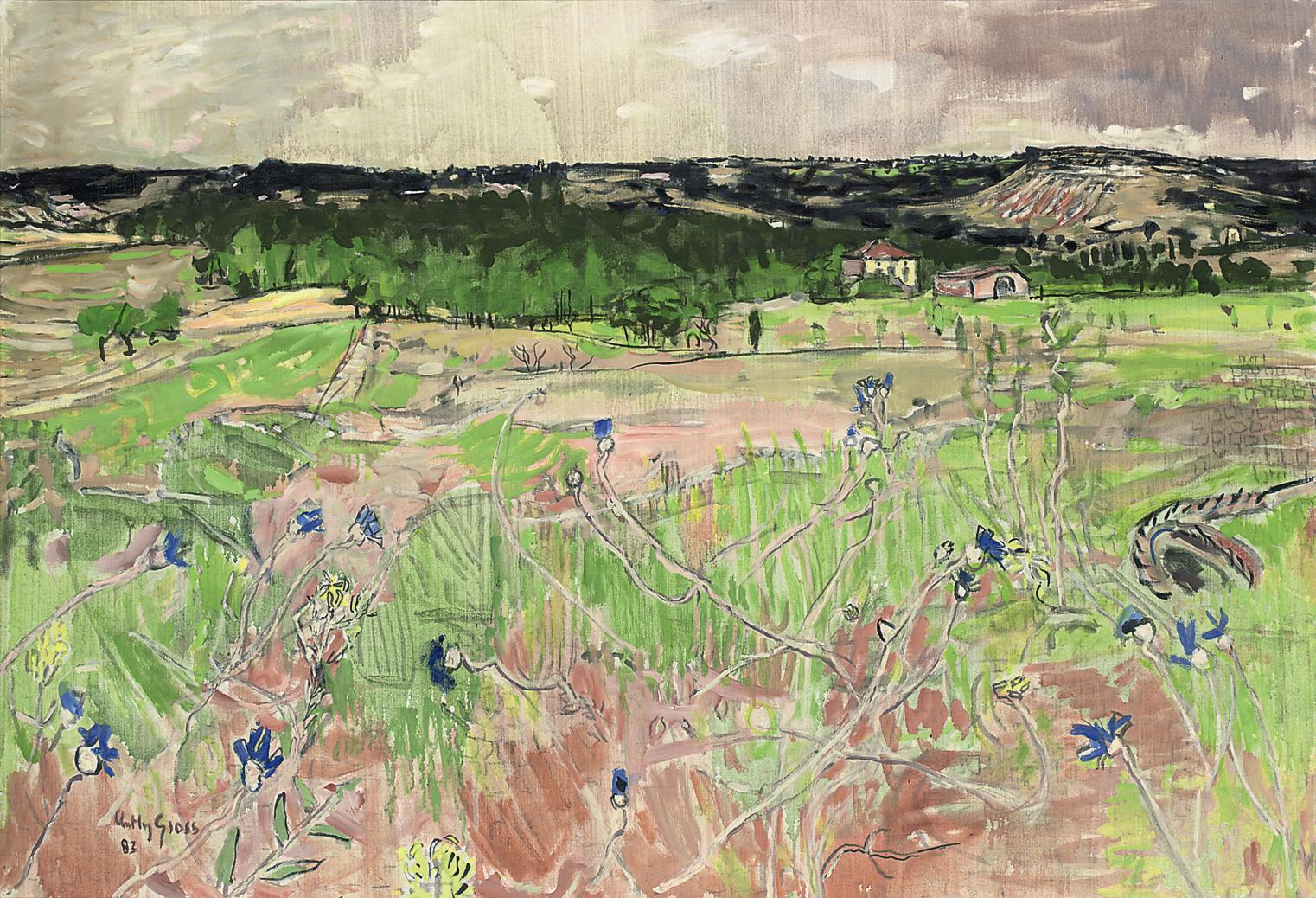 Anthony Gross - Valley with Cornflowers