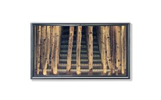 Anthony James - Birch Sculpture