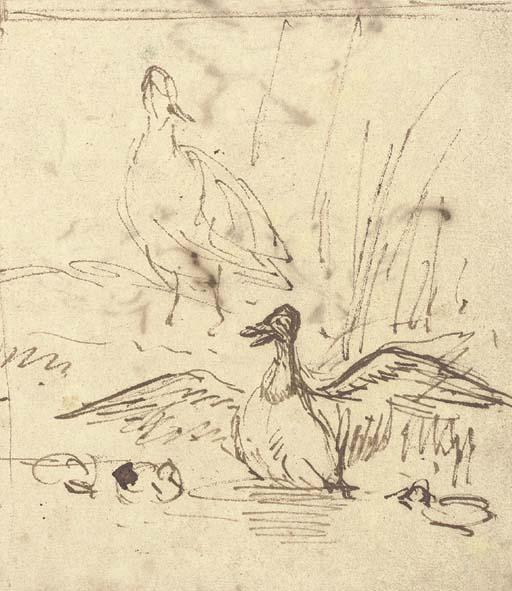 Anthony Van Borssom - Two Ducks And Three Ducklings (Recto); Study of Three Chickens (Verso)