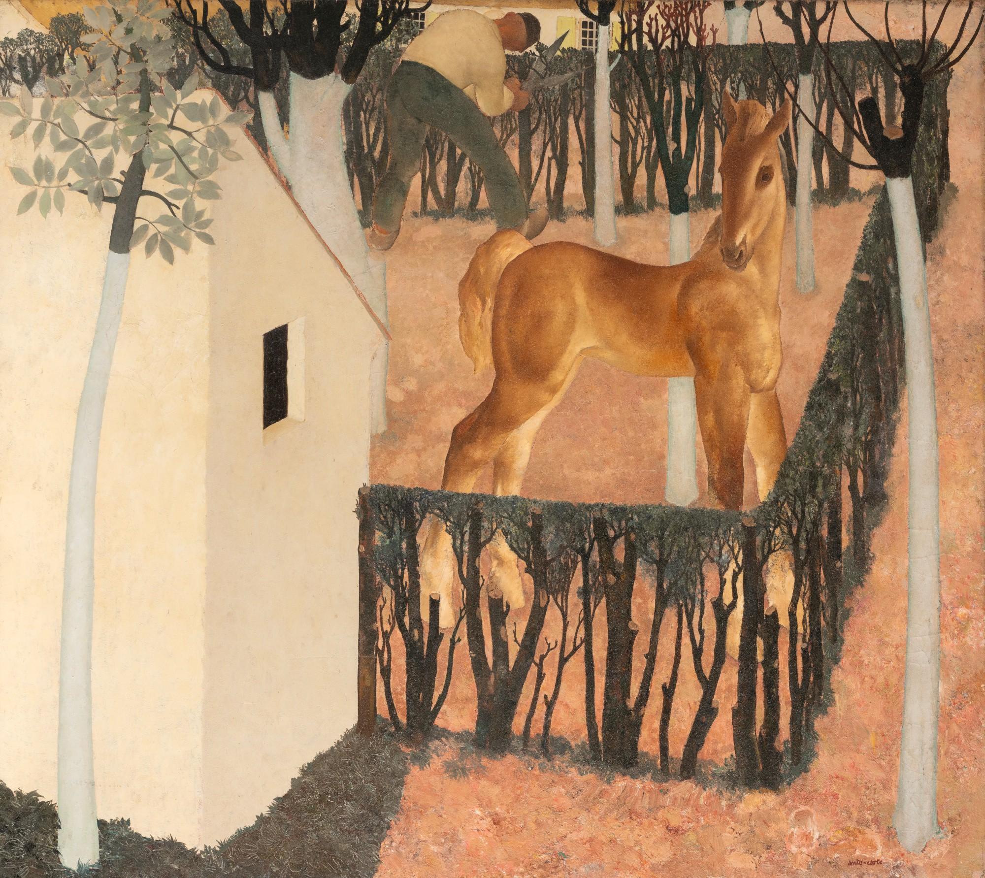 Anto Carte - Le Poulain Dans L\'Enclos