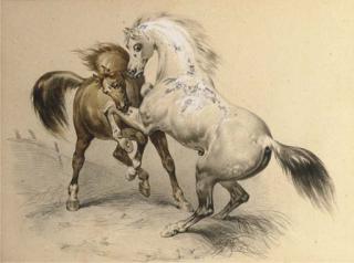 Antoine-Charles-Horace Vernet - Deux chevaux luttant