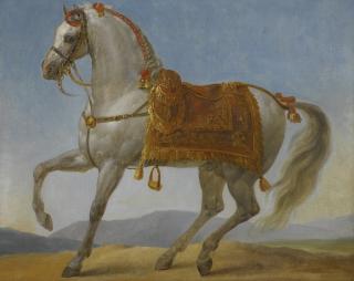 Antoine-Jean, Baron Gros - Bonaparte\'S Arab Stallion, \