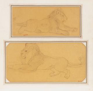 Antoine-Louis Barye - Deux études de lion