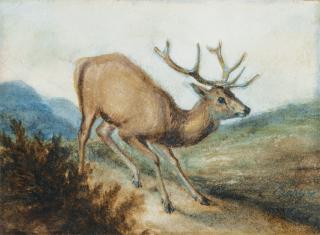 Antoine-Louis Barye - Petit Cerf Aux Abois