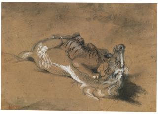 Antoine-Louis Barye - Tiger Attacking A Horse
