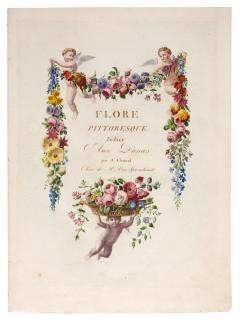 Antoine M. Chazal - Flore Pittoresque, 1818, presentation binding, red straight-grained morocco
