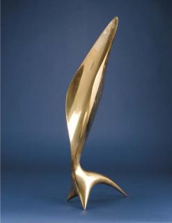 Antoine Poncet - Mesure Lumière