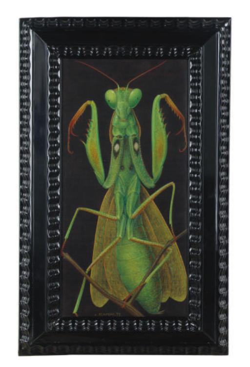 Antoine Tzapoff - A Praying Mantis; And A Companion Painting