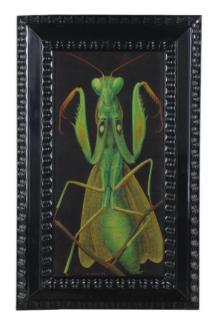 Antoine Tzapoff - A Praying Mantis; And A Companion Painting