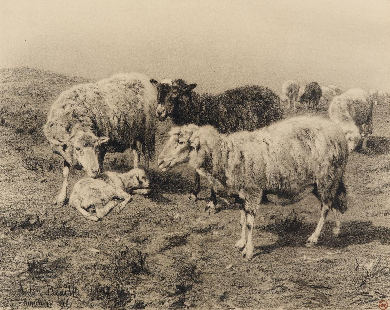 Anton Braith - Schafe auf der Weide