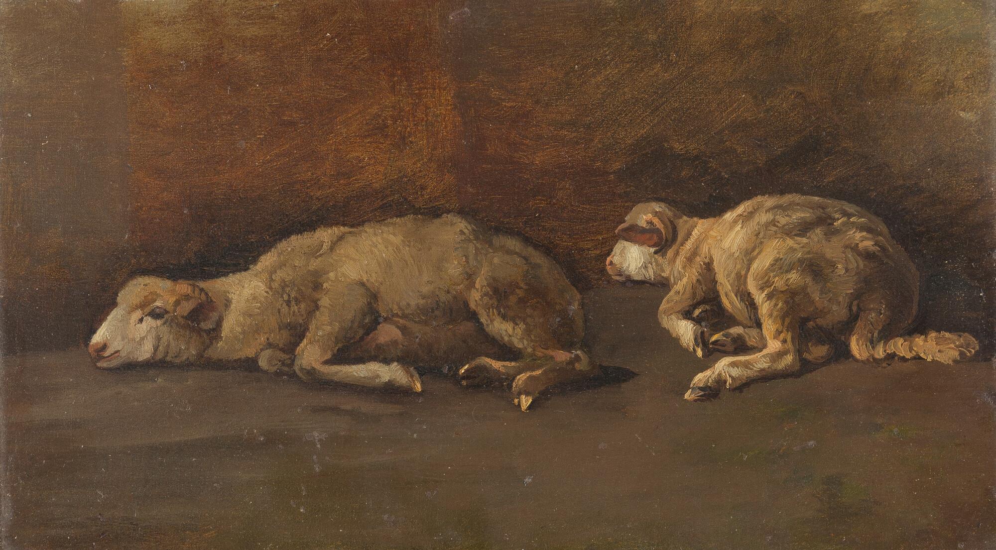 Anton Braith - Zwei ruhende Schafe