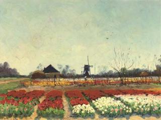 Anton Dircks - Bollenveld - Bulbfield