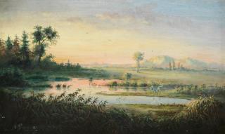 Anton Goering - A Venezuelan wetland with herons