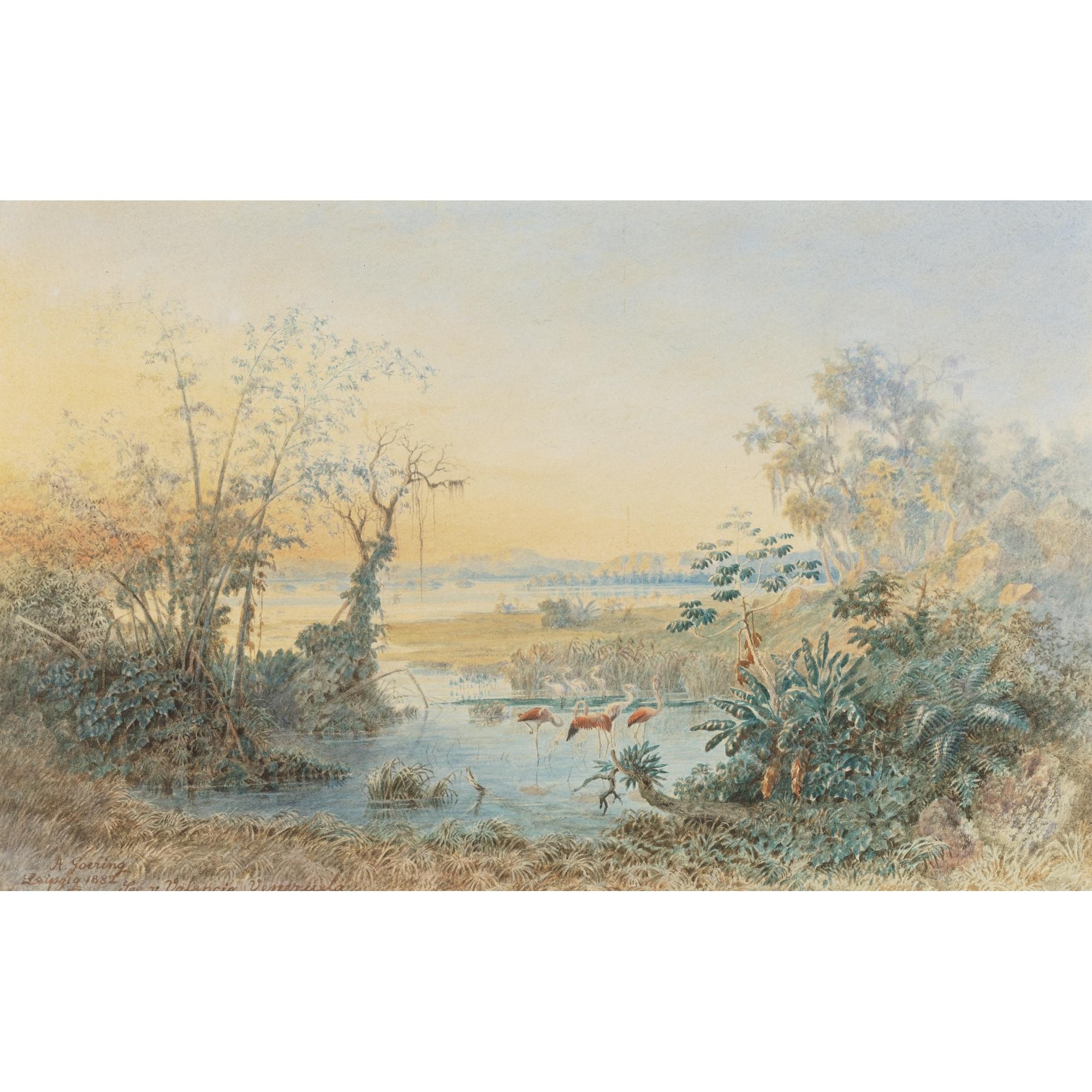 Anton Goering - Lago De Valencia, Venezuela