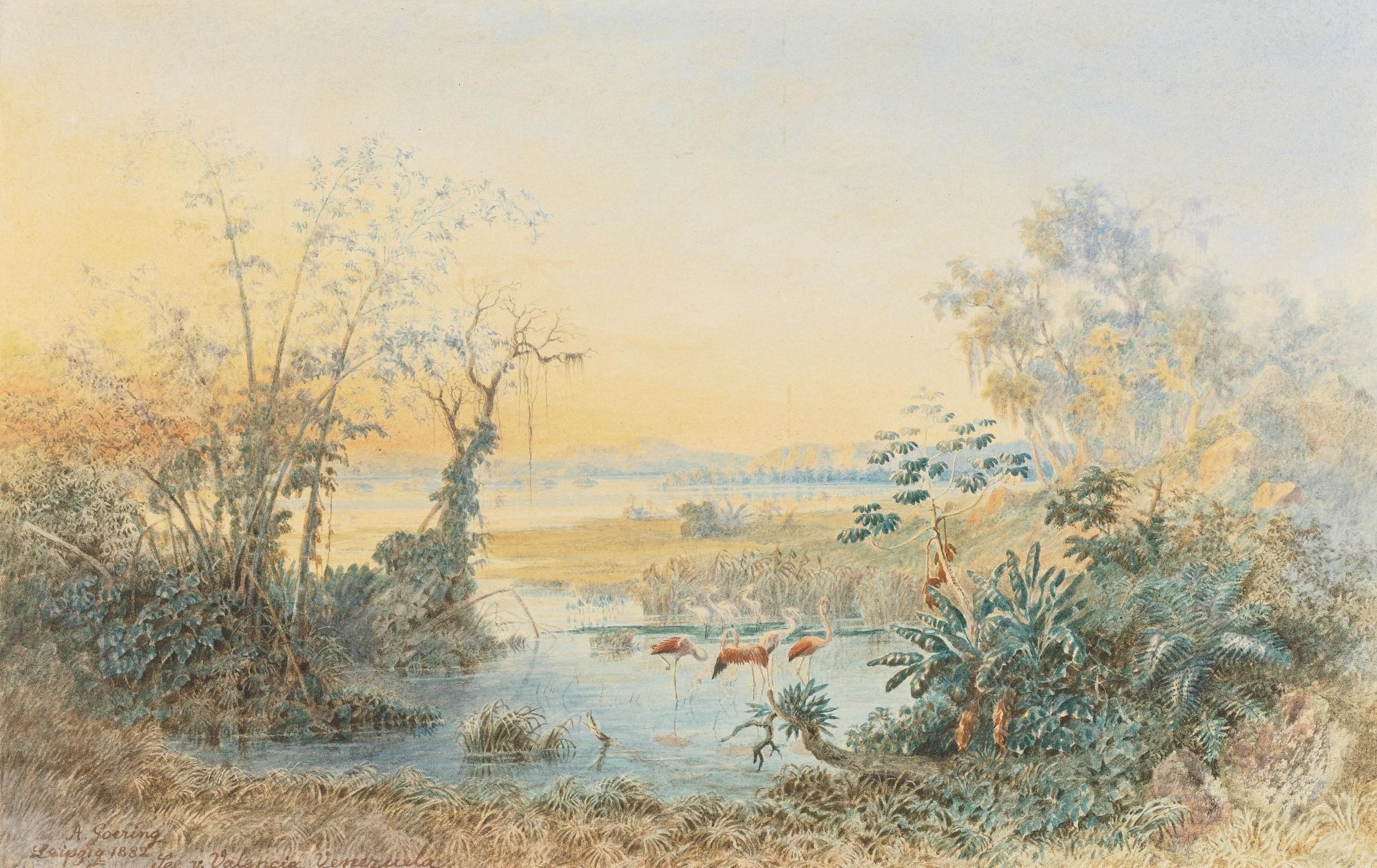 Anton Goering - Lago De Valencia, Venezuela