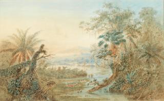 Anton Goering - Venezuelan wetlands with flamingos and herons