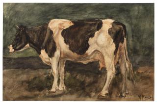Anton Mauve - A cow