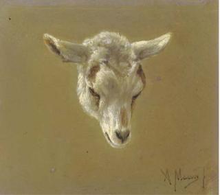 Anton Mauve - Head of a lamb - a study