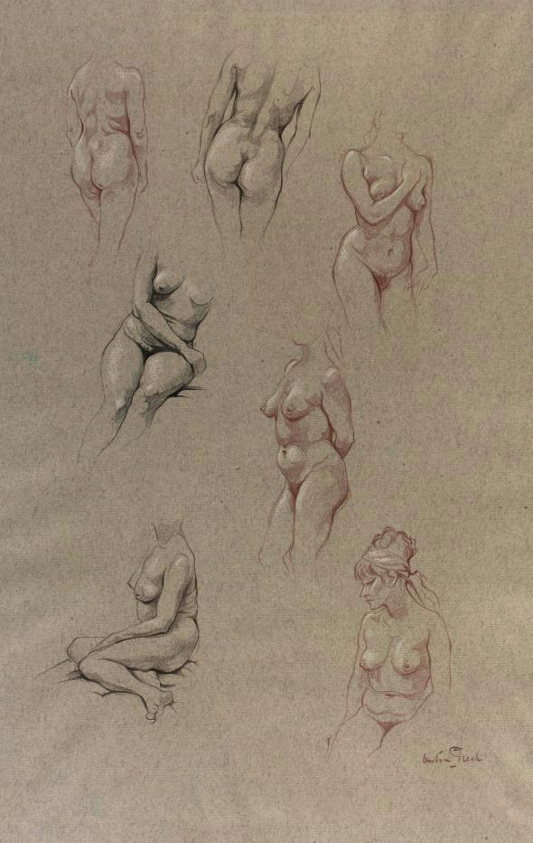 Anton Pieck - Study for female nudes