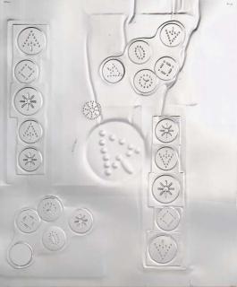 Antoni Clave - Sans Titre