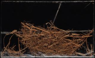 Antoni Tapies - Paille sous plastique