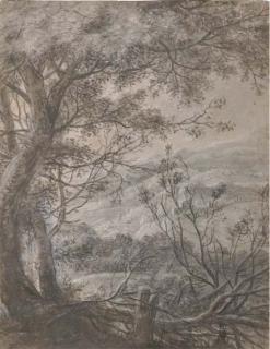 Antonie Waterloo - A Wooded Landscape With A View Over Hills