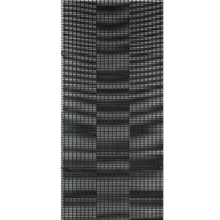 Antonio Asis - Untitled