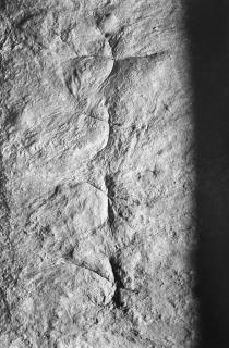 Antonio Biasiucci - Pane 1991