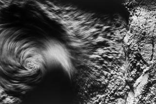 Antonio Biasiucci - Pane 1991