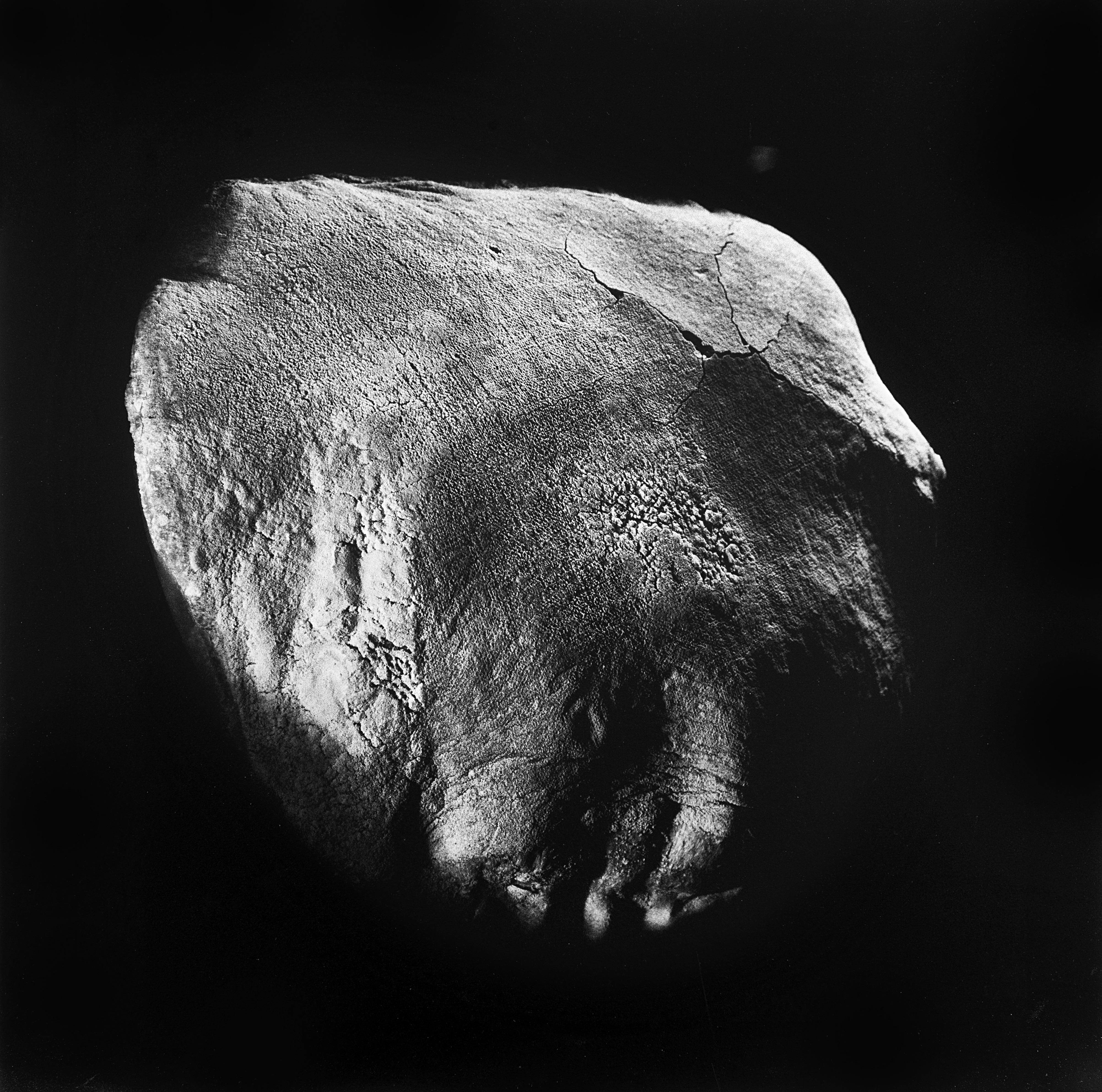 Antonio Biasiucci - Pane 2007