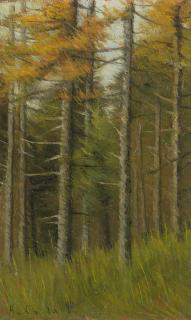 Antonio Calderara - Il Mottarone al buschet di ratt