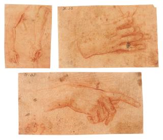 Antonio D’Enrico - Study of two arms (recto) and two legs (verso) (i); Study of a hand (ii); and Study of a hand (iii)