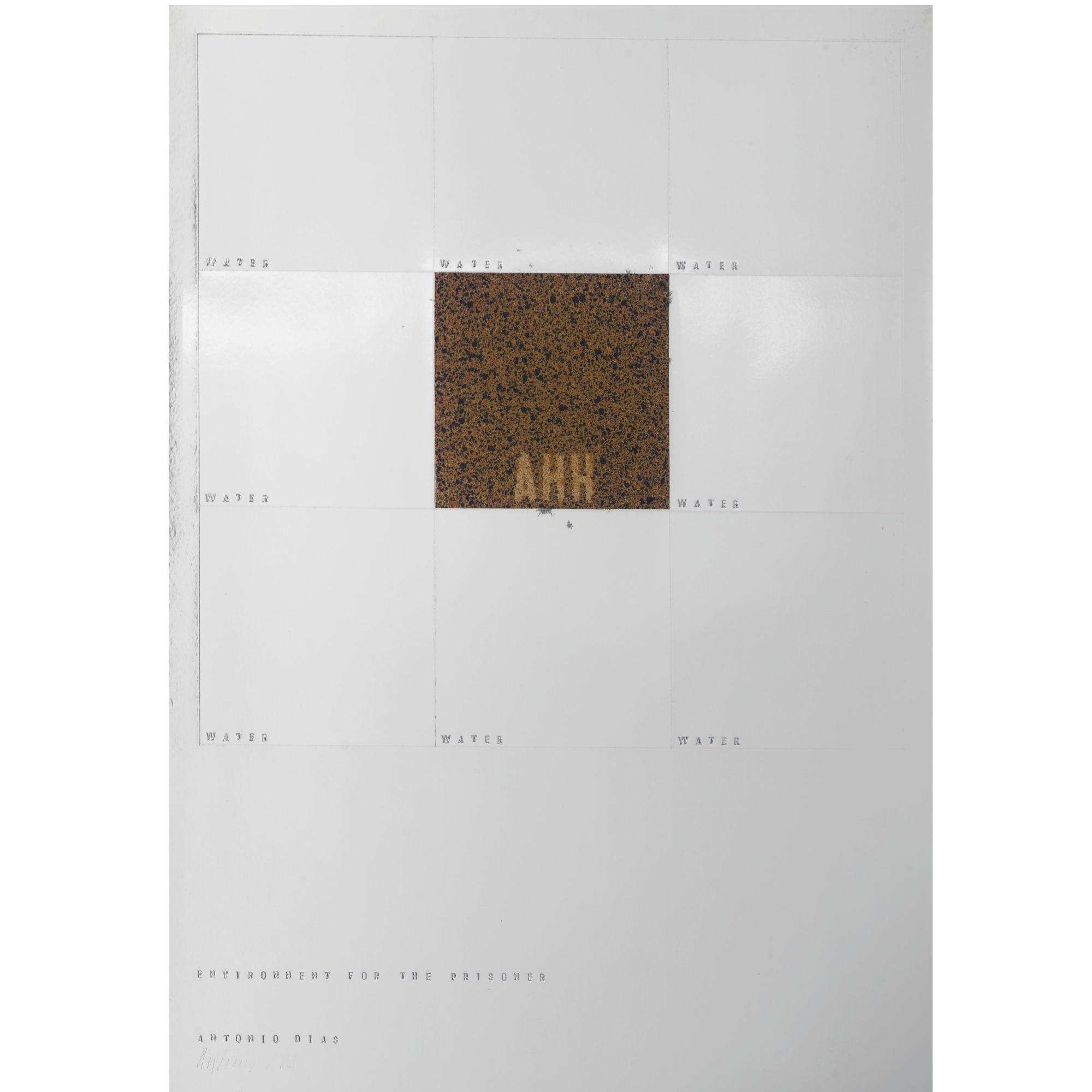 Antonio Dias - Environments For The Prisoner