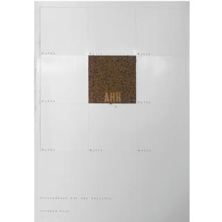 Antonio Dias - Environments For The Prisoner