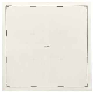 Antonio Dias - The Space: Culture