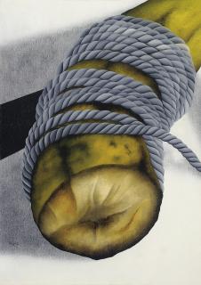 Antonio Henrique Amaral - Battlefield 14