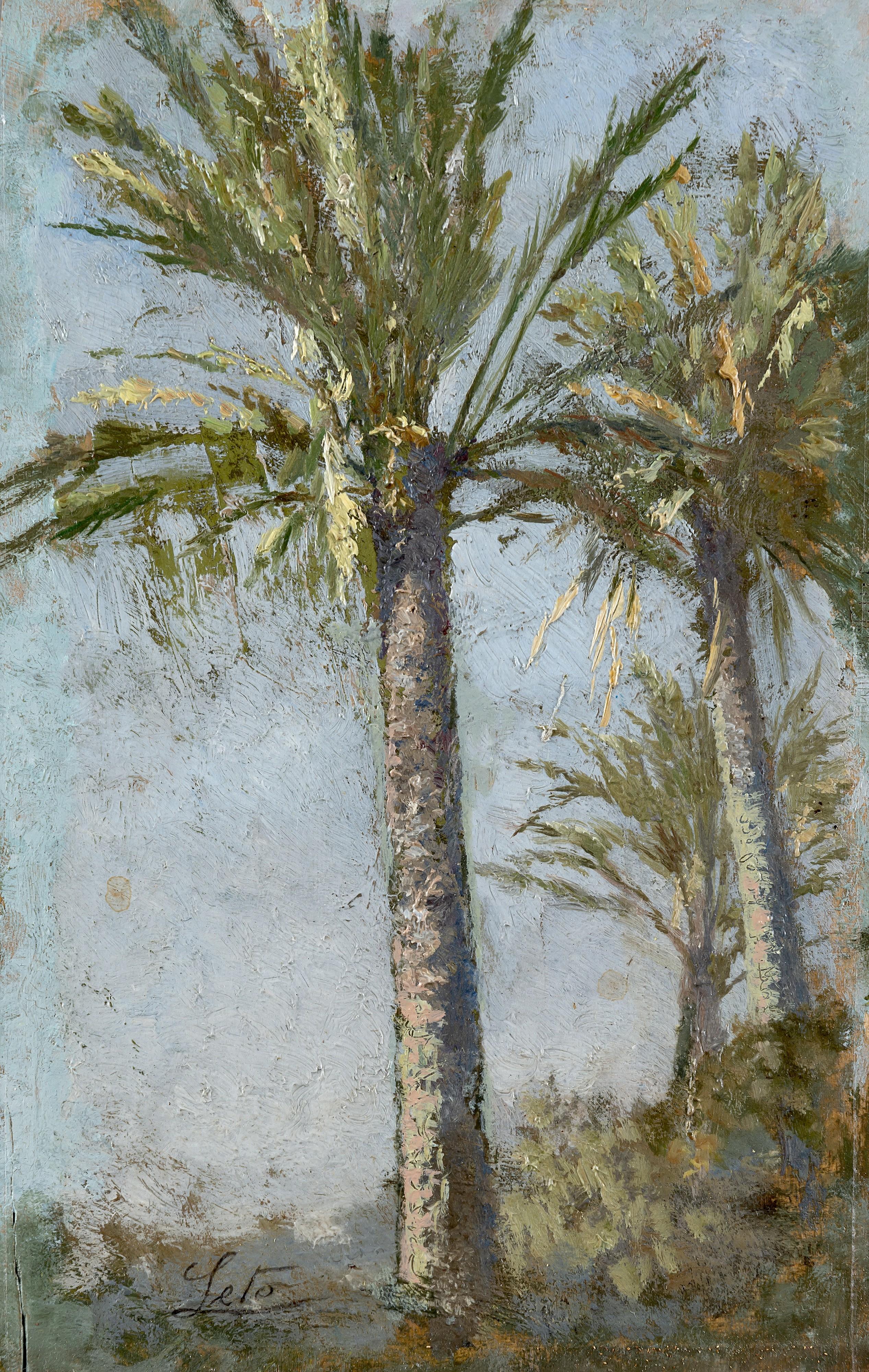 Antonio Leto - Palme