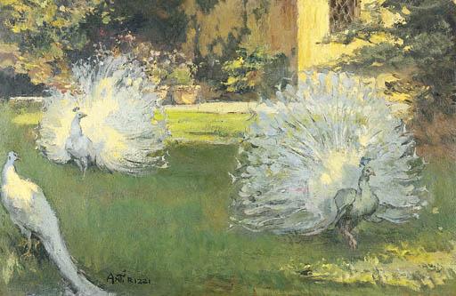 Antonio Rizzi - Pavoni in giardino