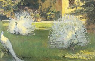 Antonio Rizzi - Pavoni in giardino