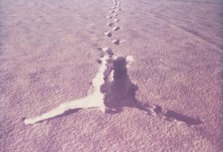 Antony Gormley R.A. - Snowfall