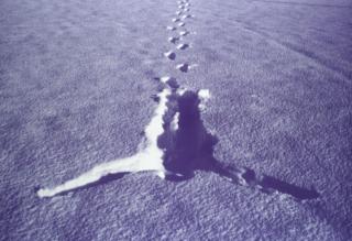 Antony Gormley RA - Snowfall