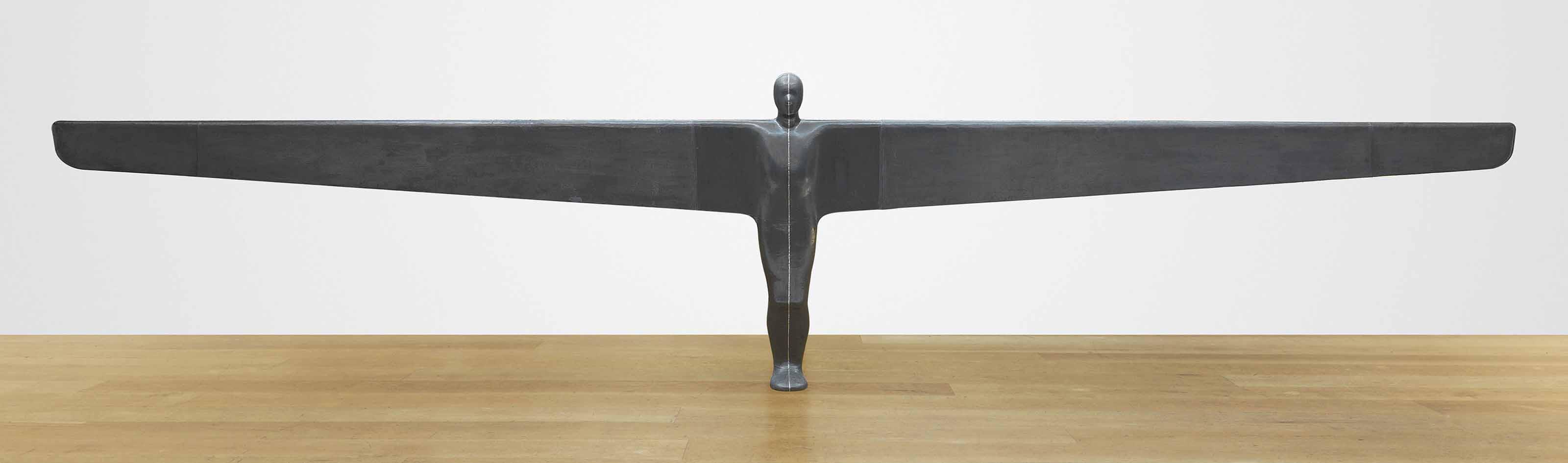 Antony Gormley - A Case for an Angel I
