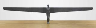Antony Gormley - A Case for an Angel I
