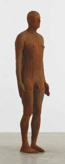 Antony Gormley - Another Time XVII
